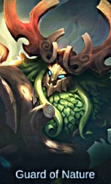 Skin Balerick