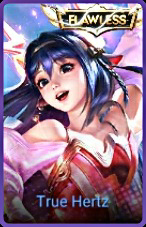 Skin HOK 11