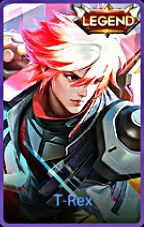 Skin HOK 16